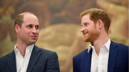 VOICI Les princes William et Harry sont-ils sur la voie de la réconciliation ?