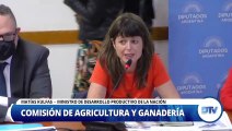 Con la presencia de Kulfas, Diputados avanzó con el proyecto que regula la producción de cannabis medicinal