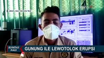 Waspada, Aktivitas Vulkanik Gunung Ile Lewotolok dan Gunung Awu Meningkat