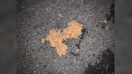 아파트 밖으로 얼린 된장 등 던져 행인 부상...경찰 수사 / YTN