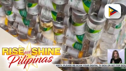 Christmas tree na gawa sa empty COVID-19 vaccines, tampok sa Brazil