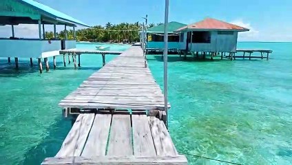 2nd vlog (come and see)