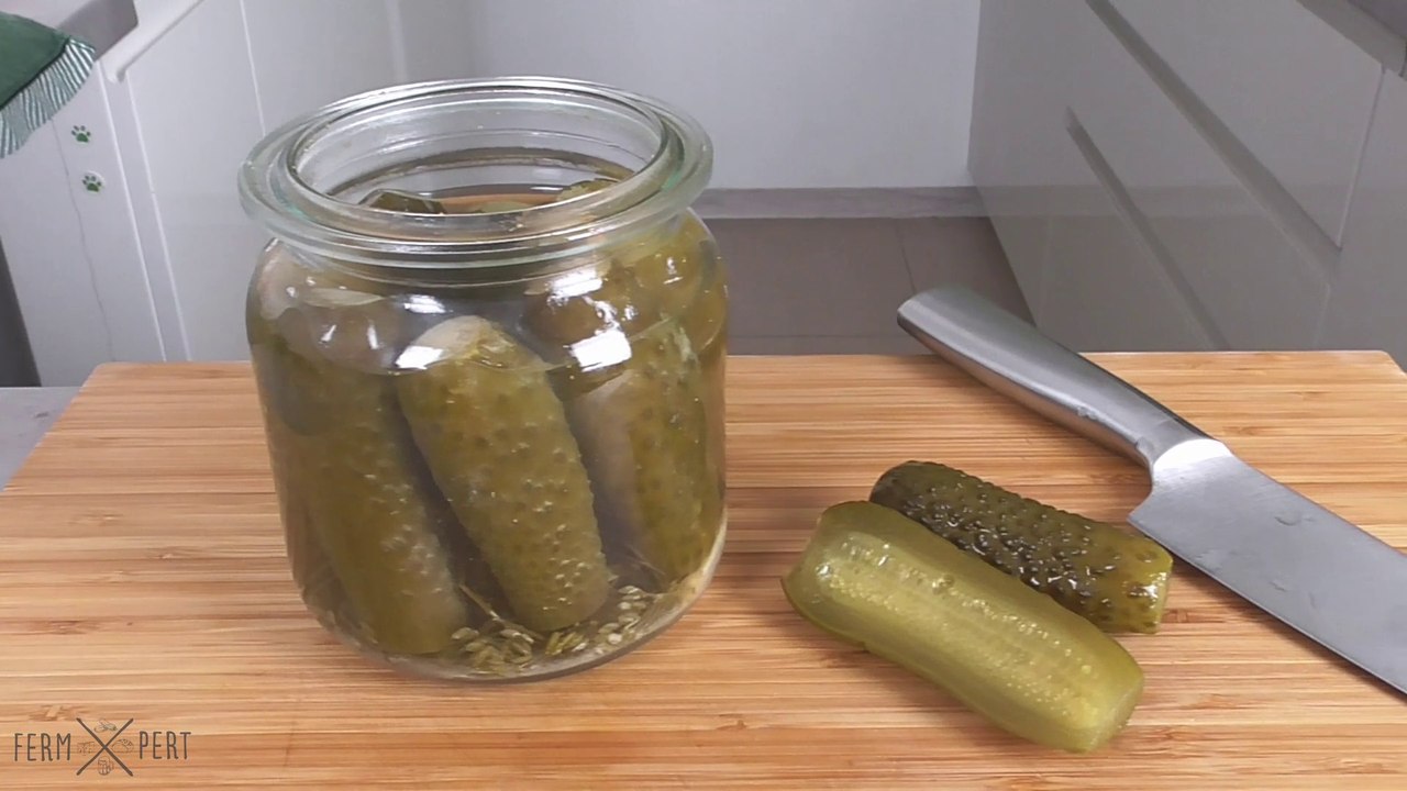[EN] Sour Gherkins