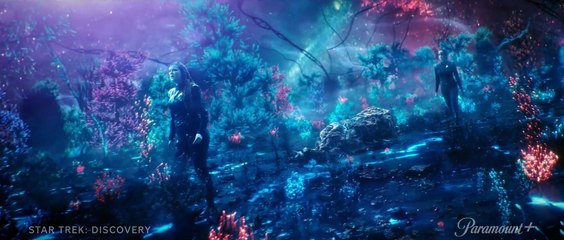 Star Trek Discovery - Sylvia Tilly Out Of Context