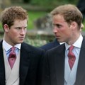 Voici // Social - Prince William : Pourquoi Son Frère Harry Lui En Veut Depuis L’adolescence