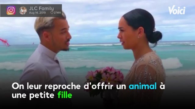 Voici - JLC Family : Jazz et Laurent achètent un chien à leur fille et scandalisent les internautes