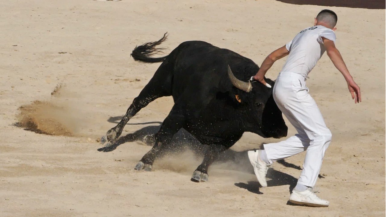 VOICI - Fin des vachettes dans Intervilles : 50 villes appellent au boycott de l’émission