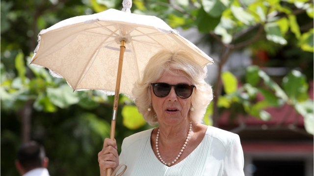 VOICI - Meghan Markle enceinte : Camilla Parker Bowles s’exprime pour la première fois sur l’arrivée du royal baby
