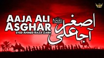 Aja Ali Asghar | Syed Ahmed Raza Zaidi | Noha | Labaik Labaik