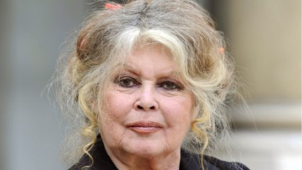 VOICI Brigitte Bardot : son message de soutien aux forces de l’ordre provoque une vive polémique