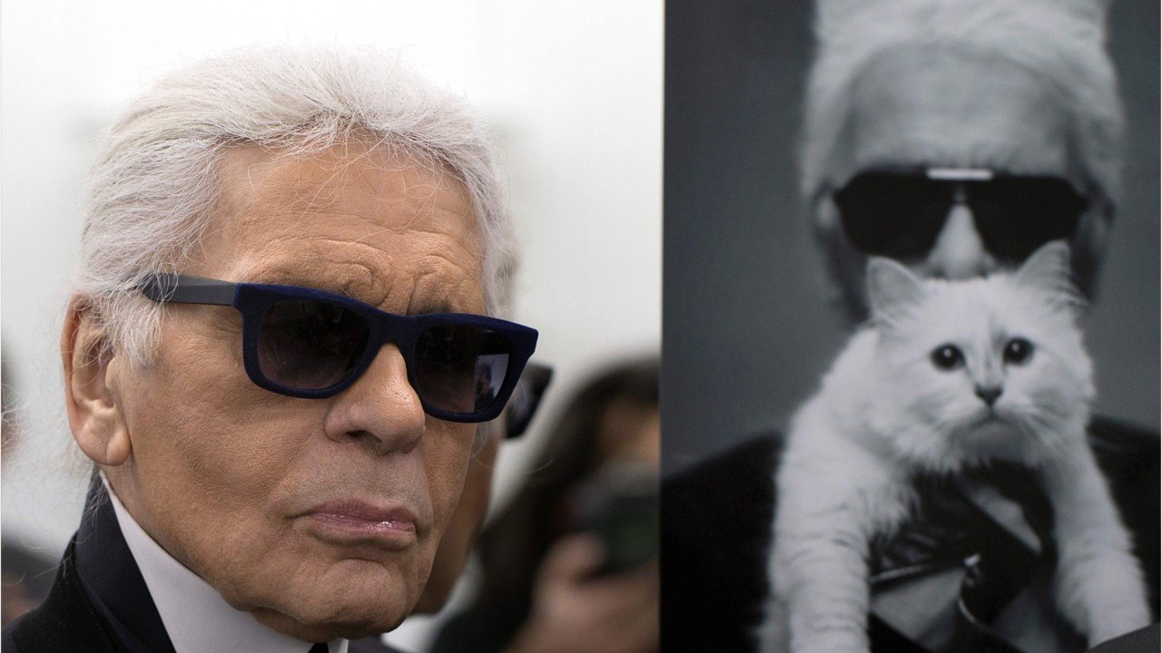 VOICI - Mort De Karl Lagerfeld : Qui Va Récupérer Sa Chatte, Choupette ? (1)