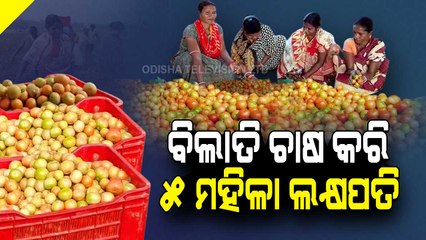 Special Story | Together Is Better- Five Odisha Women Script Perfect Women Empowerment Story