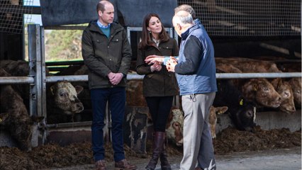 Voici - Le prince William et Kate Middleton : roi et reine par intérim, pourquoi la rumeur enfle-t-elle ?