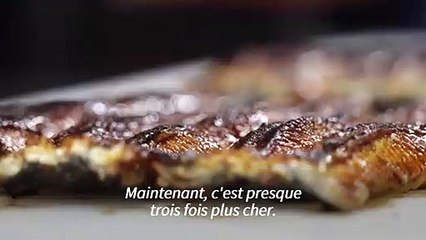 L'anguille, trésor convoité et menacé de la gastronomie nippone