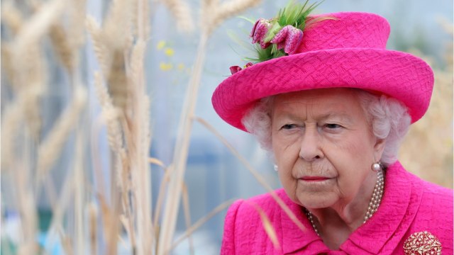 VOICI - Elizabeth II : le prince Albert II de Monaco est plus riche qu’elle (et de loin !)