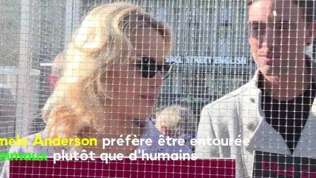 VOICI Pamela Anderson mélancolique : son message lourd de sens après son divorce avec John Peters
