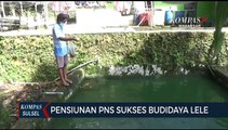 Pensiunan PNS Sukses Budidaya Lele