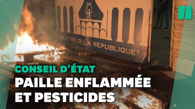 Contre les dérives démocratiques , pourquoi ces agriculteurs s'en sont pris au Conseil d'État