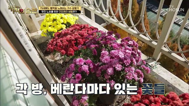 멋쟁이 할아버지 건강한 노후를 보내는 윤향기의 일상 TV CHOSUN 211214 방송