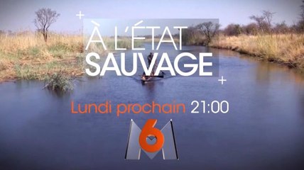 A l'état sauvage : Laure Manaudou se prépare pour sa grande aventure