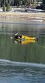 شجاعة رجل إطفاء في إنقاذ غزالة علقت في بحيرة متجمدة في فيديو مؤثر