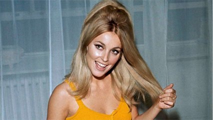 VOICI - Once upon a time in Hollywood : qui était Sharon Tate, l’actrice sauvagement assassinée dans les années 60 ?