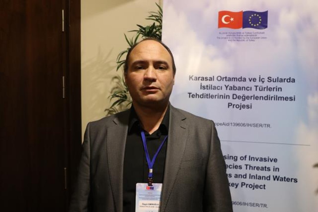 İstilacı İsrail sazanı içme suyu havzalarını te...
