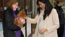 GALA VIDÉO - Pourquoi le ventre de Meghan Markle, enceinte de son premier enfant, est aussi gros ?