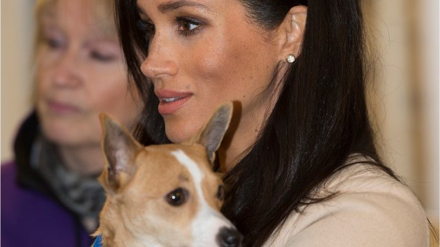 GALA VIDÉO - Meghan Markle aperçue en plein Londres dans une tenue peu royale
