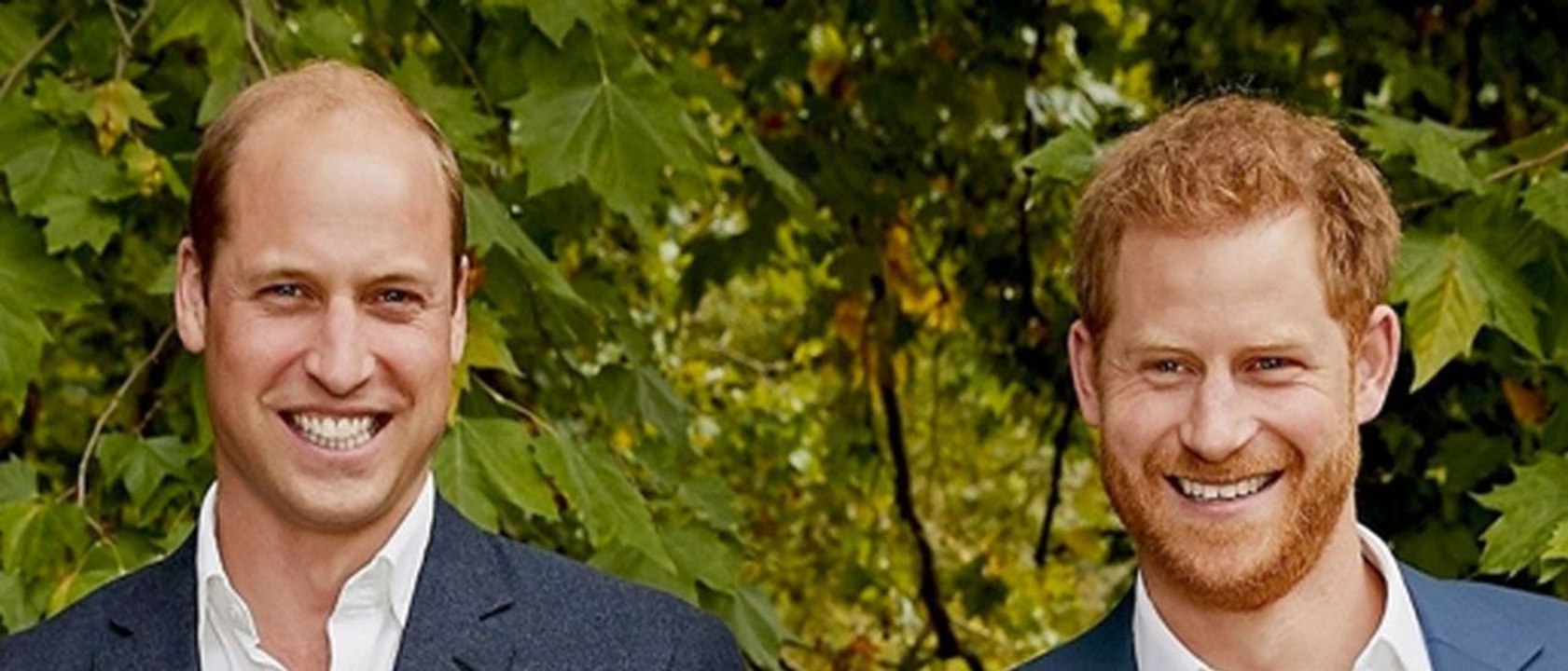 GALA VIDEO - William et Harry comment leurs parents leur ont-ils annoncé leur séparation ?