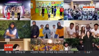B급 감성 '슈퍼참치' 열풍…제2의 아기상어 되나?