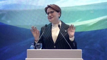 Akşener: "Herkesi Doğu Türkistan konusunda suskunluğunu bozmaya çağırıyorum"