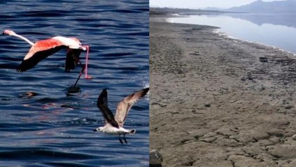 Burdur Gölü alarm veriyor! Kuraklık kritik seviyeyi geçti