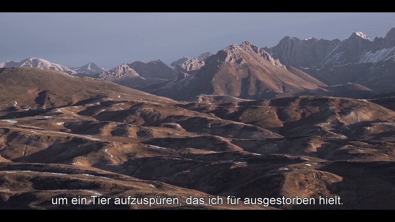 DER SCHNEELEOPARD l OmU Trailer