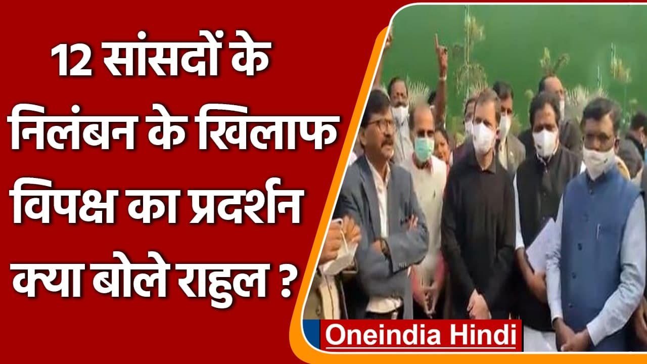 12 Rajya Sabha MPs के निलंबन को लेकर Rahul Gandhi ने PM Modi पर क्या कहा? | वनइंडिया हिंदी