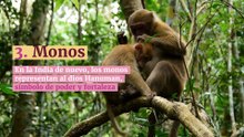 8 animales sagrados para distintas culturas