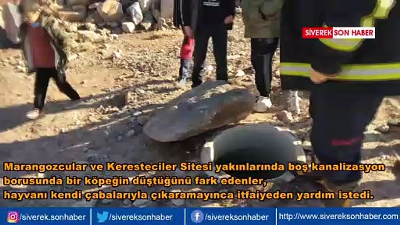 Kanalizasyon borusuna sıkışan yavru köpek kurtarıldı