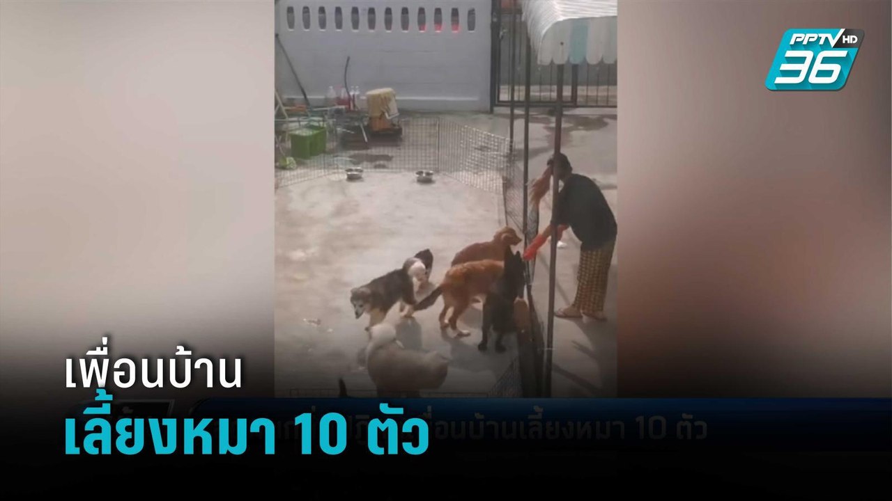 สุดทนกลิ่นปฏิกูลเพื่อนบ้านเลี้ยงหมา 10 ตัว | เข...