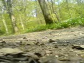Dirt 125