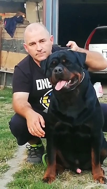 TRULY A BEAST 