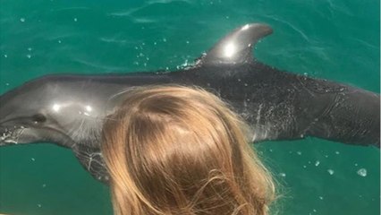 VOICI Carla Bruni émue par la rencontre entre Giulia et un « dauphin thérapeute "VOICI Carla Bruni émue par la rencontre entre Giulia et un « dauphin thérapeute "