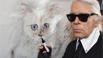 VOICI Mort de Karl Lagerfeld : cette allusion au cancer qui a mis la puce à l’oreille de ses proches