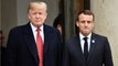 VOICI L’arbre symbole de l’amitié entre Emmanuel Macron et Donald Trump est mort