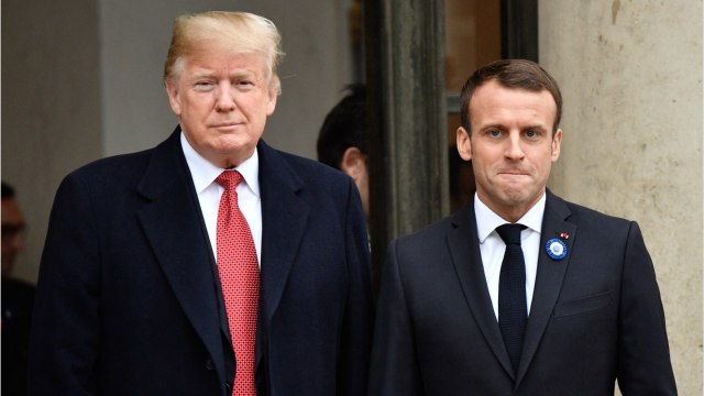 VOICI L’arbre symbole de l’amitié entre Emmanuel Macron et Donald Trump est mort