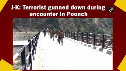 J&K: Terrorist gunned down during encounter in Poonch