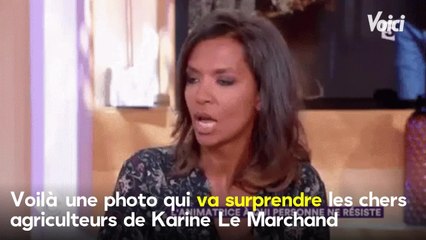 VOICI Karine Le Marchand plus sexy que jamais en culotte apparente
