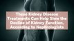 These Kidney Disease Treatments Can Help Slow the Decline of Kidney Function, According to Nephrologists