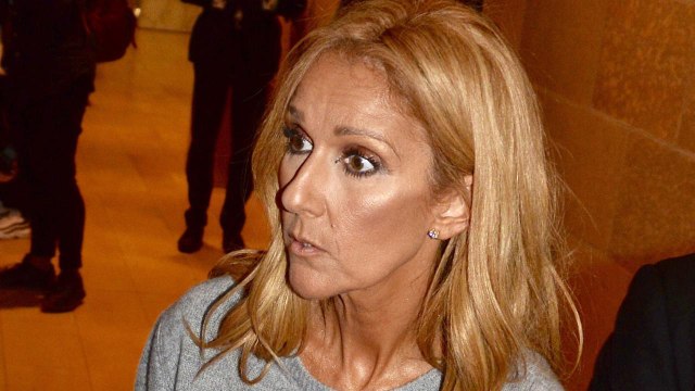 VOICI Céline Dion : sa déchirante séparation avec Pepe Muñoz