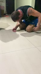 Cute Kitten Loves to Play