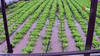 Çanakkale’de şiddetli yağış; seraları su bastı